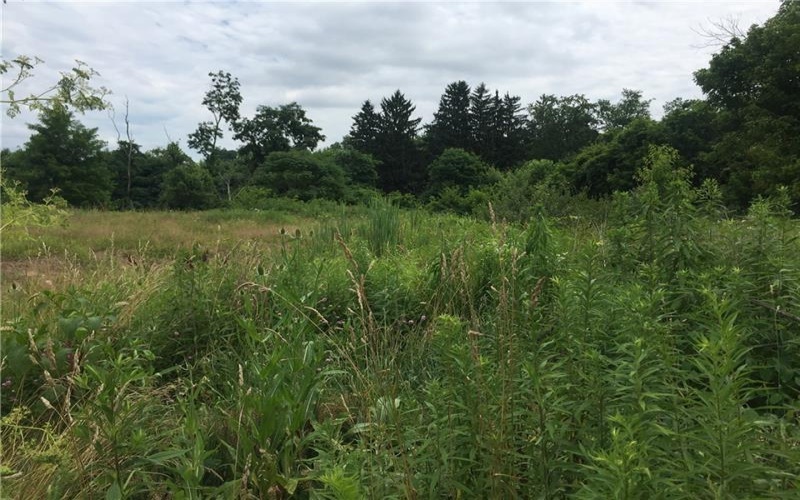 00 Ella Drive, Rostraver Township, 15012, ,Farm-acreage-lot,For Sale,Ella Drive,1667817