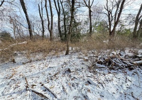 225 Center Church Rd, Canonsburg, 15317, ,Farm-acreage-lot,For Sale,Center Church Rd,1689008