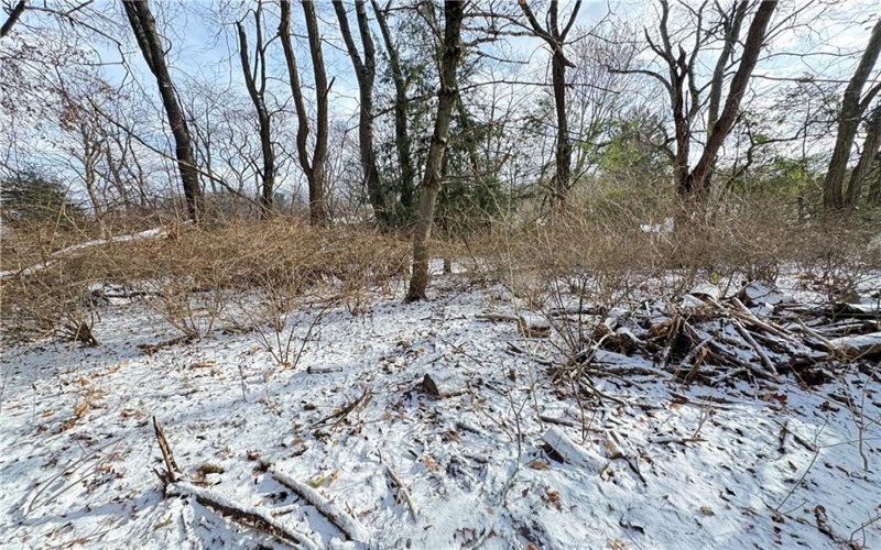 225 Center Church Rd, Canonsburg, 15317, ,Farm-acreage-lot,For Sale,Center Church Rd,1689008