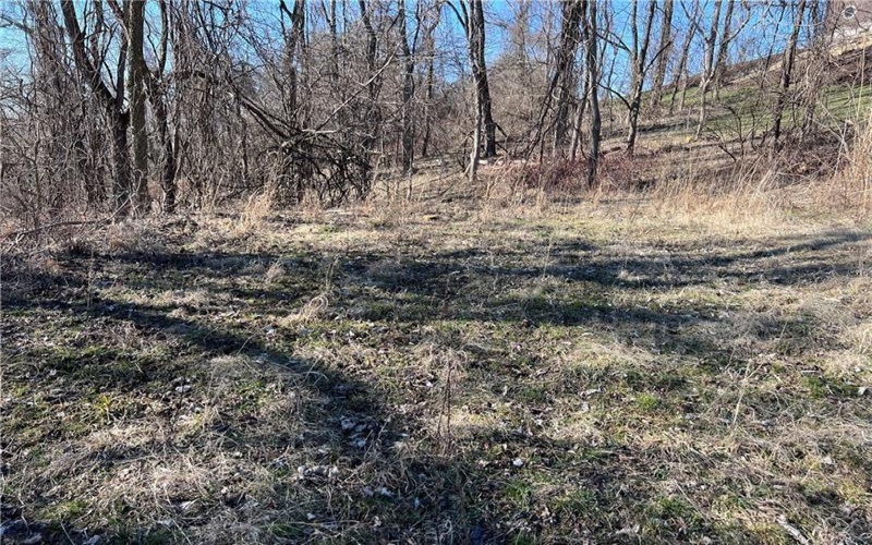 Lot #5 Tuscany Lane, Washington, 15301, ,Farm-acreage-lot,For Sale,Tuscany Lane,1689031