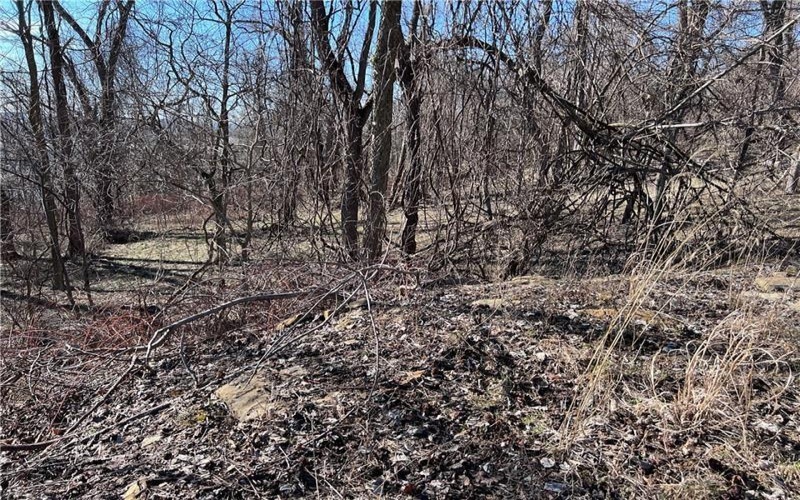 Lot #5 Tuscany Lane, Washington, 15301, ,Farm-acreage-lot,For Sale,Tuscany Lane,1689031