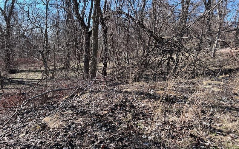 Lot #5 Tuscany Lane, Washington, 15301, ,Farm-acreage-lot,For Sale,Tuscany Lane,1689031