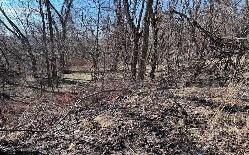 Lot #5 Tuscany Lane, Washington, 15301, ,Farm-acreage-lot,For Sale,Tuscany Lane,1689031