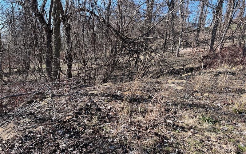 Lot #5 Tuscany Lane, Washington, 15301, ,Farm-acreage-lot,For Sale,Tuscany Lane,1689031