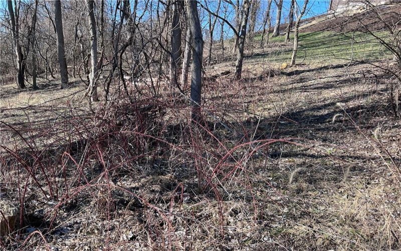Lot #5 Tuscany Lane, Washington, 15301, ,Farm-acreage-lot,For Sale,Tuscany Lane,1689031