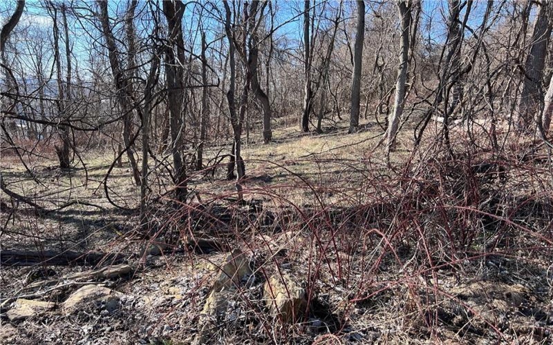 Lot #5 Tuscany Lane, Washington, 15301, ,Farm-acreage-lot,For Sale,Tuscany Lane,1689031