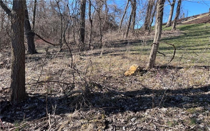 Lot #5 Tuscany Lane, Washington, 15301, ,Farm-acreage-lot,For Sale,Tuscany Lane,1689031