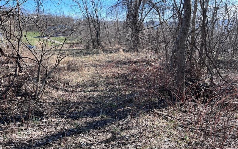 Lot #5 Tuscany Lane, Washington, 15301, ,Farm-acreage-lot,For Sale,Tuscany Lane,1689031