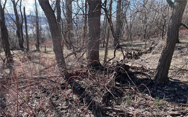 Lot #5 Tuscany Lane, Washington, 15301, ,Farm-acreage-lot,For Sale,Tuscany Lane,1689031