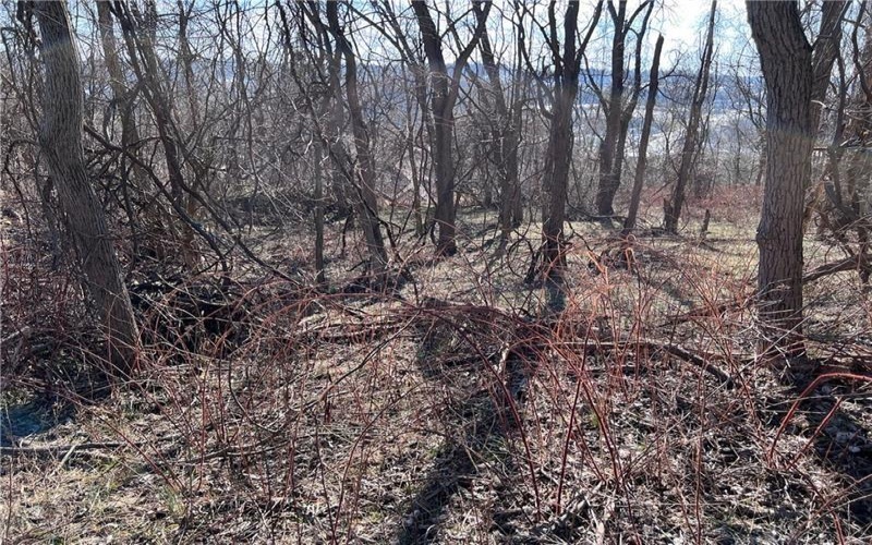 Lot #5 Tuscany Lane, Washington, 15301, ,Farm-acreage-lot,For Sale,Tuscany Lane,1689031