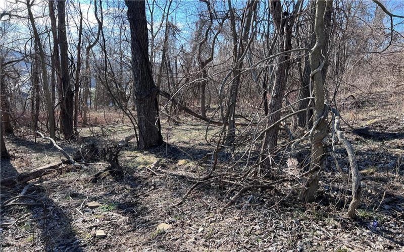 Lot #5 Tuscany Lane, Washington, 15301, ,Farm-acreage-lot,For Sale,Tuscany Lane,1689031