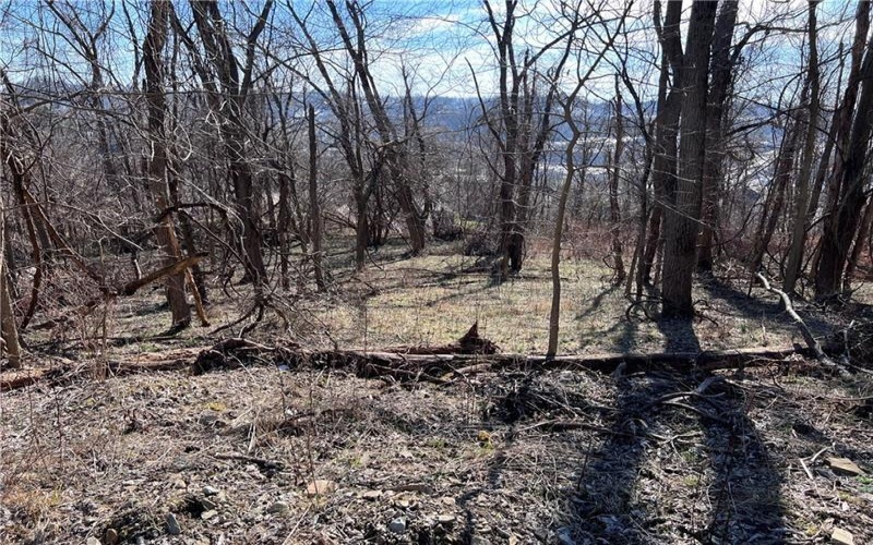Lot #5 Tuscany Lane, Washington, 15301, ,Farm-acreage-lot,For Sale,Tuscany Lane,1689031
