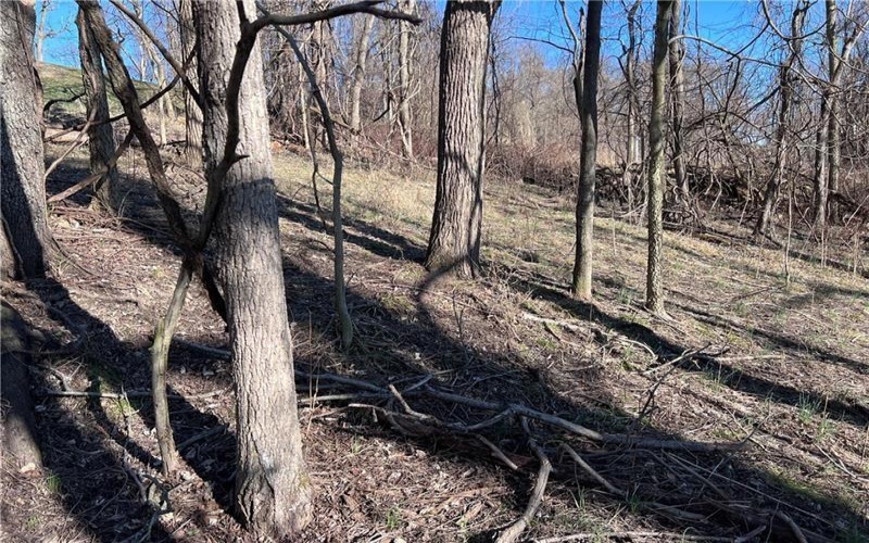 Lot #5 Tuscany Lane, Washington, 15301, ,Farm-acreage-lot,For Sale,Tuscany Lane,1689031