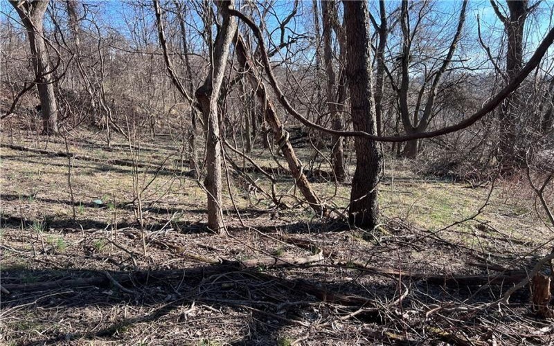 Lot #5 Tuscany Lane, Washington, 15301, ,Farm-acreage-lot,For Sale,Tuscany Lane,1689031