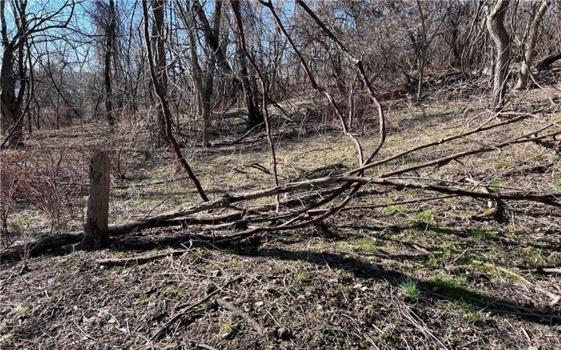 Lot #5 Tuscany Lane, Washington, 15301, ,Farm-acreage-lot,For Sale,Tuscany Lane,1689031
