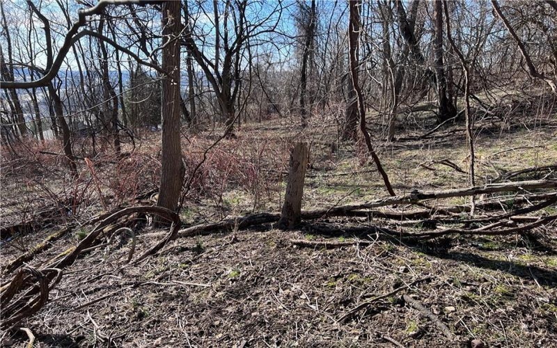 Lot #5 Tuscany Lane, Washington, 15301, ,Farm-acreage-lot,For Sale,Tuscany Lane,1689031