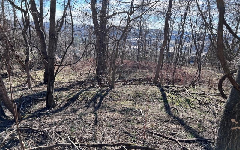 Lot #5 Tuscany Lane, Washington, 15301, ,Farm-acreage-lot,For Sale,Tuscany Lane,1689031