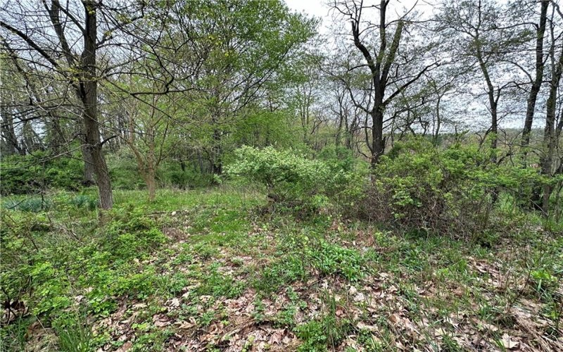 14 Ridge Road, Burgettstown, 15021, ,Farm-acreage-lot,For Sale,Ridge Road,1689169