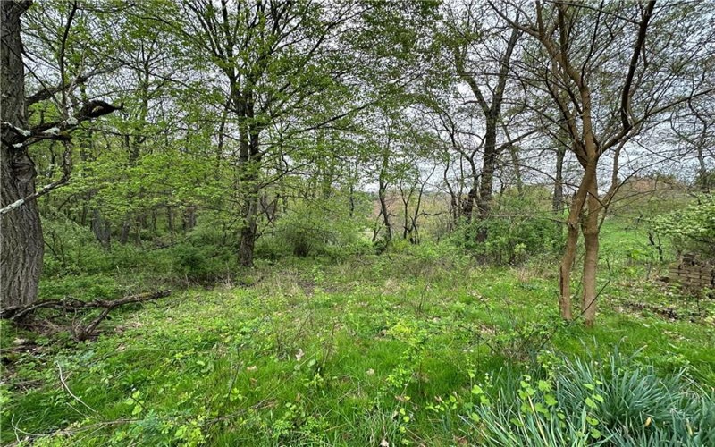14 Ridge Road, Burgettstown, 15021, ,Farm-acreage-lot,For Sale,Ridge Road,1689169
