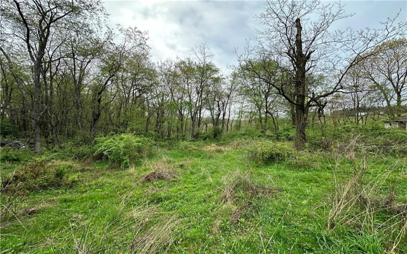 14 Ridge Road, Burgettstown, 15021, ,Farm-acreage-lot,For Sale,Ridge Road,1689169