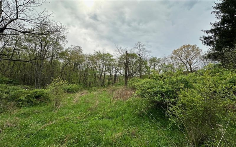 14 Ridge Road, Burgettstown, 15021, ,Farm-acreage-lot,For Sale,Ridge Road,1689169