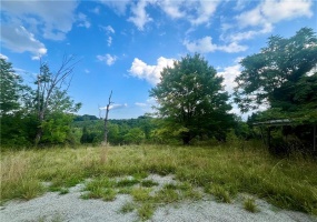1054 Eldersville Rd, Burgettstown, 15021, ,Farm-acreage-lot,For Sale,Unusable,Eldersville Rd,1673355