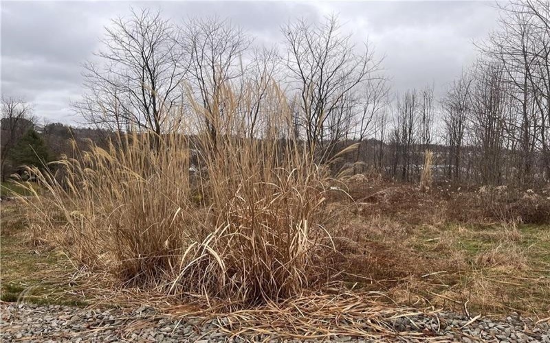 Lot #6 Tuscany Lane, Washington, 15301, ,Farm-acreage-lot,For Sale,Tuscany Lane,1690543