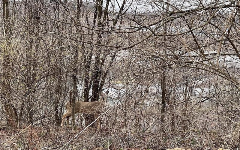 Lot #6 Tuscany Lane, Washington, 15301, ,Farm-acreage-lot,For Sale,Tuscany Lane,1690543