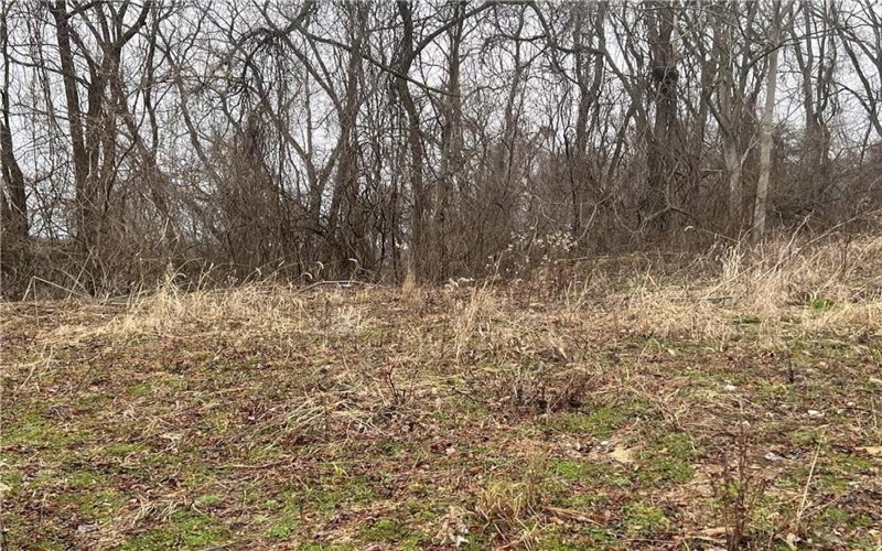 Lot #6 Tuscany Lane, Washington, 15301, ,Farm-acreage-lot,For Sale,Tuscany Lane,1690543