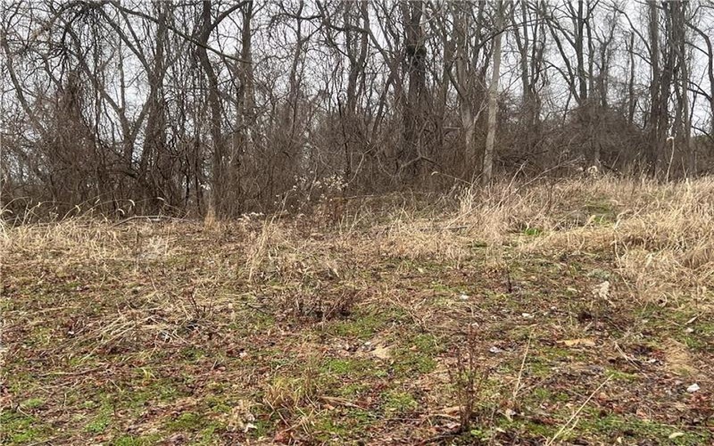 Lot #6 Tuscany Lane, Washington, 15301, ,Farm-acreage-lot,For Sale,Tuscany Lane,1690543