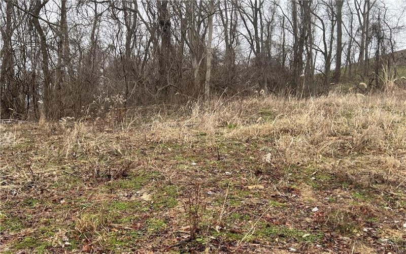 Lot #6 Tuscany Lane, Washington, 15301, ,Farm-acreage-lot,For Sale,Tuscany Lane,1690543