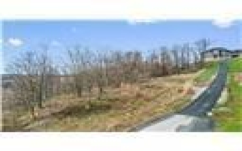 Lot #6 Tuscany Lane, Washington, 15301, ,Farm-acreage-lot,For Sale,Tuscany Lane,1690543