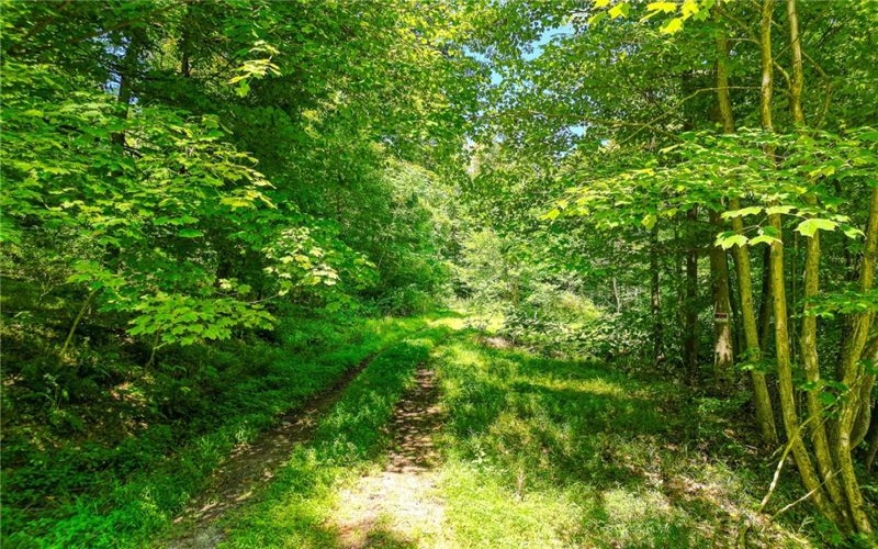 0 Loyalhanna Dam Rd, Saltsburg, 15681, ,Farm-acreage-lot,For Sale,Loyalhanna Dam Rd,1663989