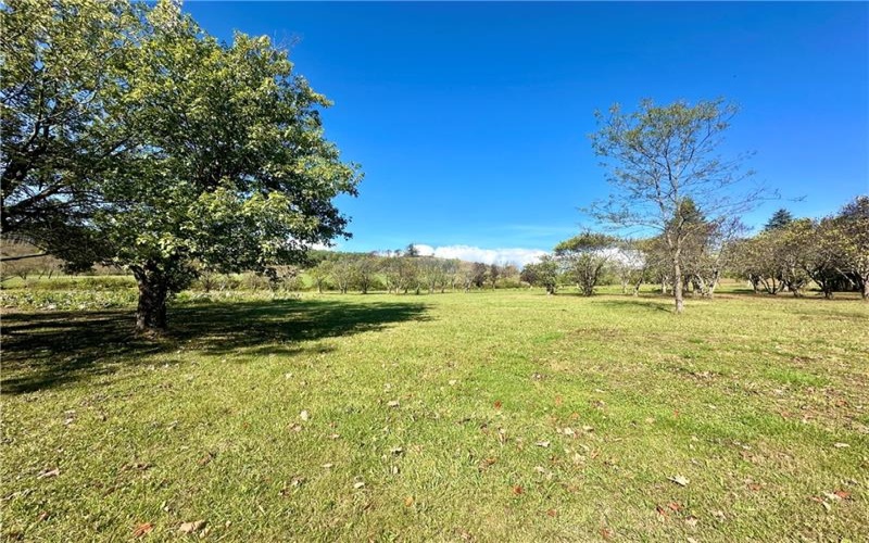 206 Calvary Church Road, Champion, 15622, ,Farm-acreage-lot,For Sale,event center, floral shop,Calvary Church Road,1674225