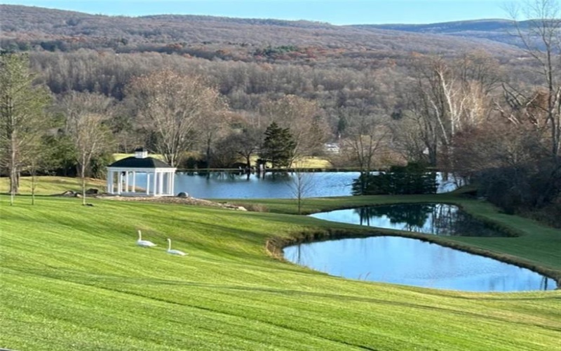 206 Calvary Church Road, Champion, 15622, ,Farm-acreage-lot,For Sale,event center, floral shop,Calvary Church Road,1674225