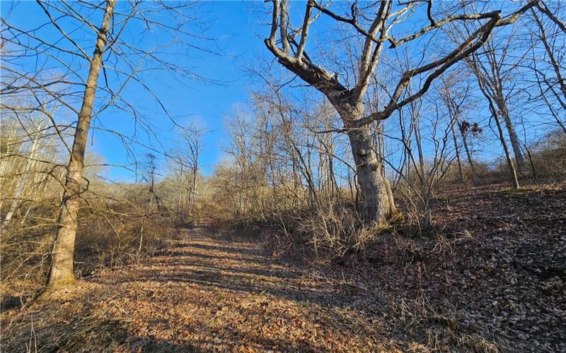 0 RT 18, New Freeport, 15352, ,Farm-acreage-lot,For Sale,Bank Barn,RT 18,1691280