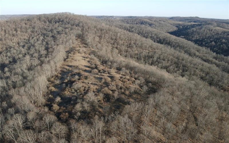 0 RT 18, New Freeport, 15352, ,Farm-acreage-lot,For Sale,Bank Barn,RT 18,1691280