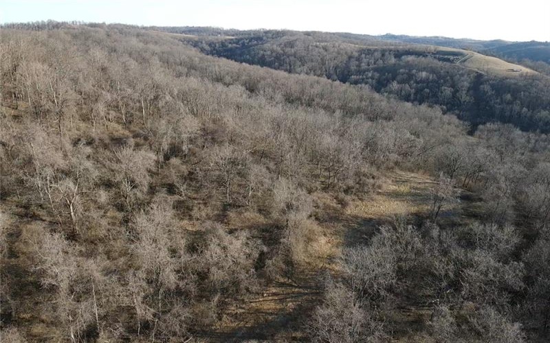 0 RT 18, New Freeport, 15352, ,Farm-acreage-lot,For Sale,Bank Barn,RT 18,1691280