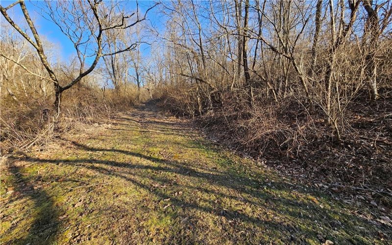 0 RT 18, New Freeport, 15352, ,Farm-acreage-lot,For Sale,Bank Barn,RT 18,1691280