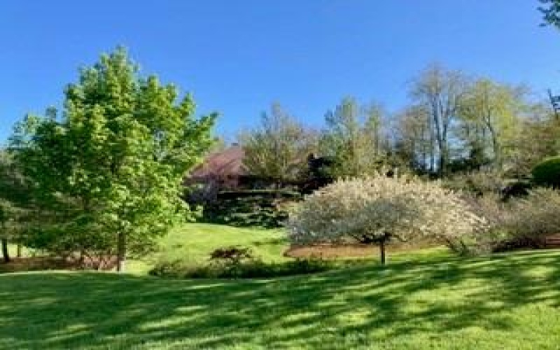 29 Virginia Ln, Canonsburg, 15317, 4 Bedrooms Bedrooms, 14 Rooms Rooms,3.2 BathroomsBathrooms,Residential,For Sale,Virginia Ln,1691639