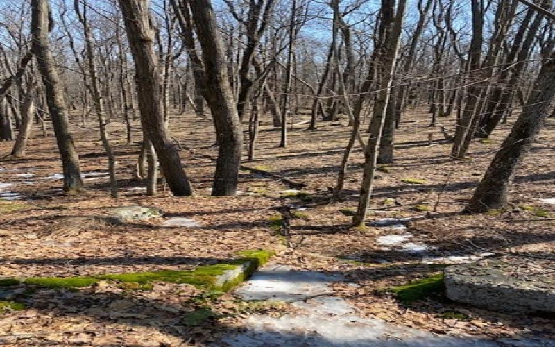 0 Shawnee View Rd, Central City, 15926, ,Farm-acreage-lot,For Sale,Shawnee View Rd,1691908