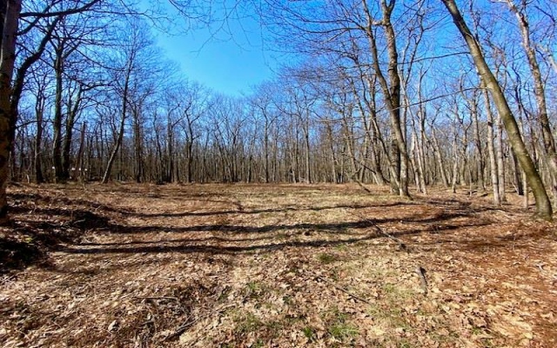 0 Shawnee View Rd, Central City, 15926, ,Farm-acreage-lot,For Sale,Shawnee View Rd,1691908