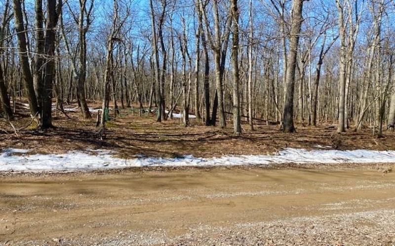 0 Shawnee View Rd, Central City, 15926, ,Farm-acreage-lot,For Sale,Shawnee View Rd,1691908
