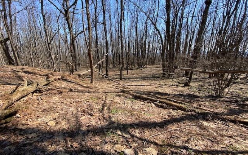 414 Shawnee, Central City, 15926, ,Farm-acreage-lot,For Sale,Shawnee,1691910