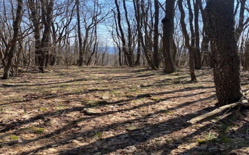 414 Shawnee, Central City, 15926, ,Farm-acreage-lot,For Sale,Shawnee,1691910