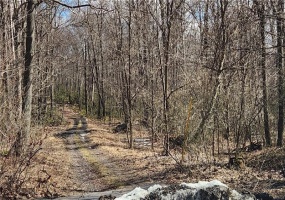 Lot 407 Plan F Highlands Dr, Boswell, 15546, ,Farm-acreage-lot,For Sale,Highlands Dr,1692035