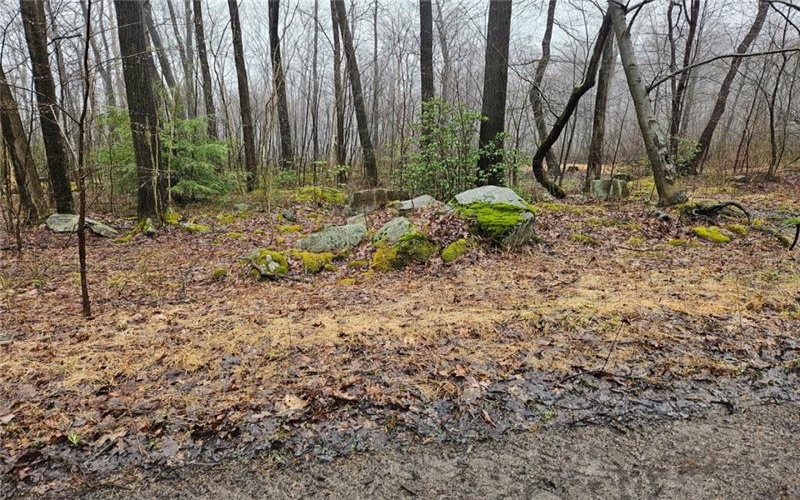 Lot 407 Plan F Highlands Dr, Boswell, 15546, ,Farm-acreage-lot,For Sale,Highlands Dr,1692035