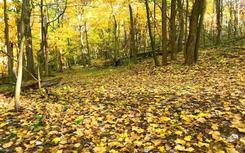 107 Sienna Trl, Venetia, 15367, ,Farm-acreage-lot,For Sale,Sienna Trl,1692435