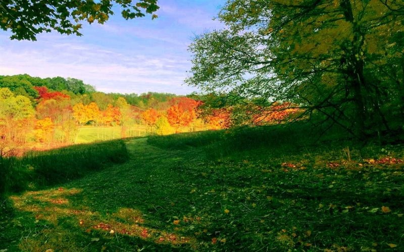 107 Sienna Trl, Venetia, 15367, ,Farm-acreage-lot,For Sale,Sienna Trl,1692435