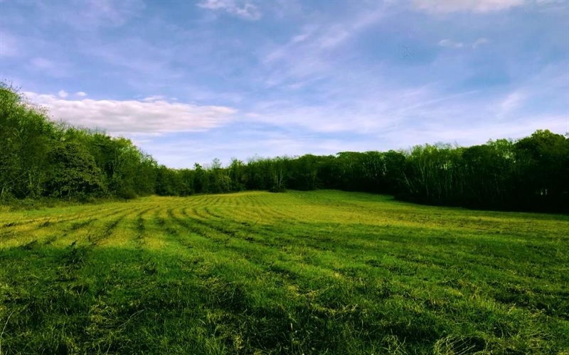 107 Sienna Trl, Venetia, 15367, ,Farm-acreage-lot,For Sale,Sienna Trl,1692435